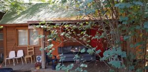 קיבוץ מגידו