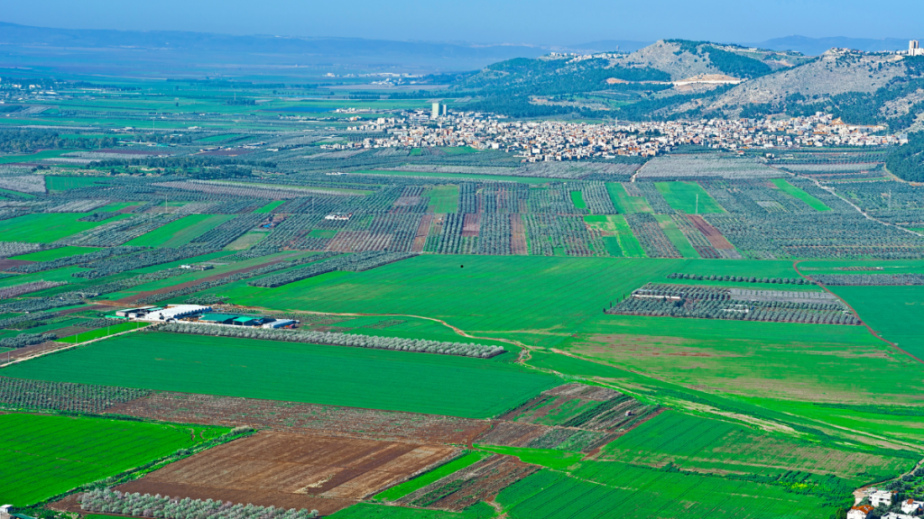 להשכרה בעמק יזרעאל