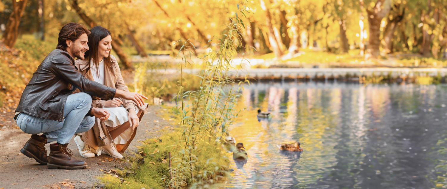 נחלות למכירה בצפון