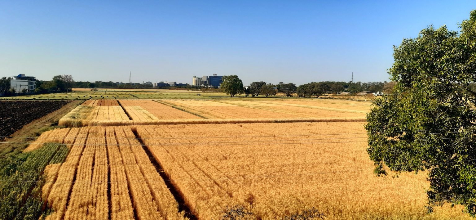 בתים למכירה בכפר תבור